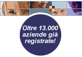 Forniture per le aziende. Numero aziende registrate
