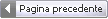 Pagina precedente