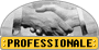 Servizi dall'elevata professionalità