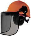 Casco forestale FORESTIER 3 con visiera e cuffie