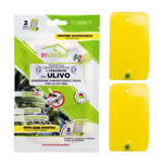 Trappola feromone per ulivo