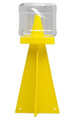 Trappola cimice asiatica