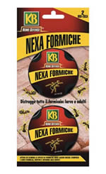 Nexa formiche casetta