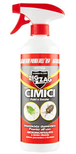 Zig Zag cimici