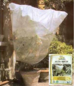 10 Sacchetti per Piante con Manici 30x25cm Homeng in Tessuto Non Tessuto Non-Tessuto per Piante da Giardino 5 Gallon