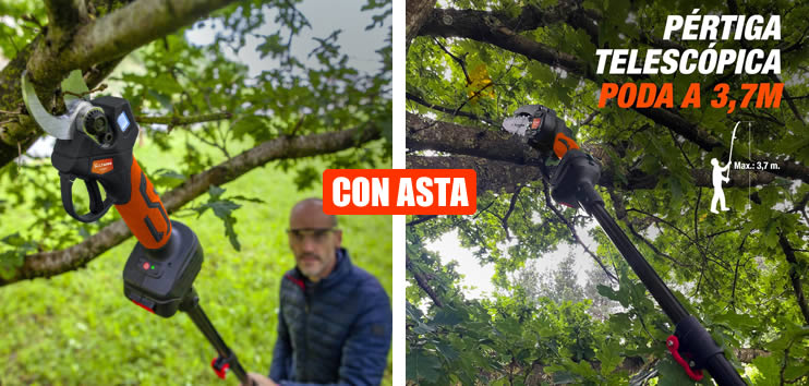 Forbice + mini motosega + asta da potatura Altuna