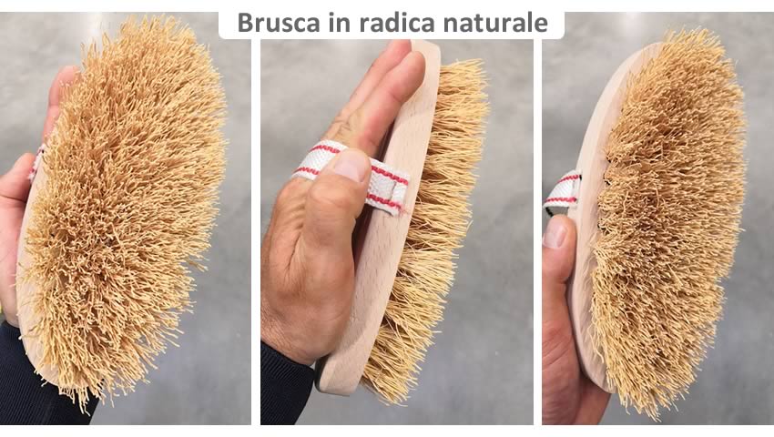 Brusca cavallo