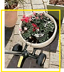 Carrello poratavasi e limoniere