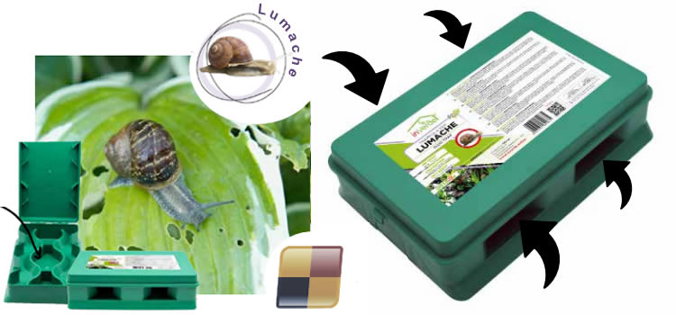 Trappola per lumache