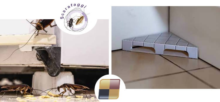 Trappola per scarafaggi e striscianti