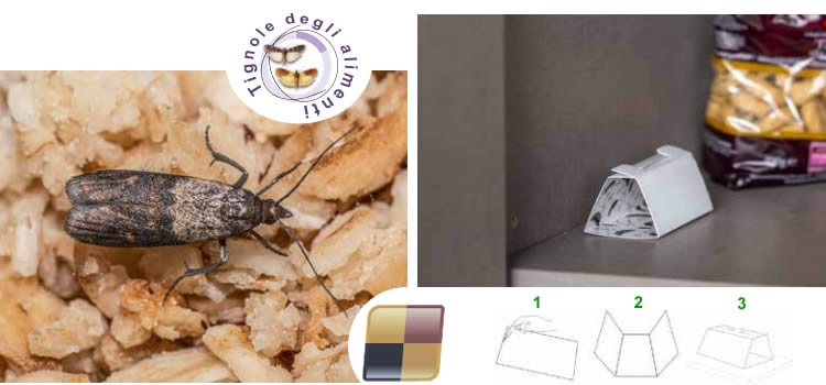 Trappola per tarme alimenti