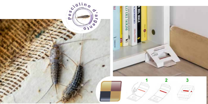 Trappola per pesciolino argento