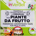 Trappola piante da frutto P04268FR
