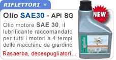 Olio 4T SAE30