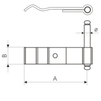 Dimensioni cardine art 1231