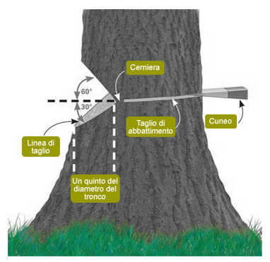 Cunei per abbattimento motoseghe Cunei per Taglio Alberi Professionale per silvicoltura per Taglio di Alberi 