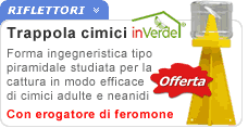 Trappola per cimice asiatica P25012