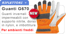 Guanti invernali G670