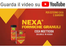 Video Nexa formiche in granuli