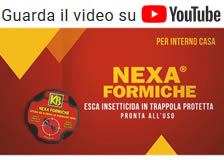 Video Nexa trappola formiche