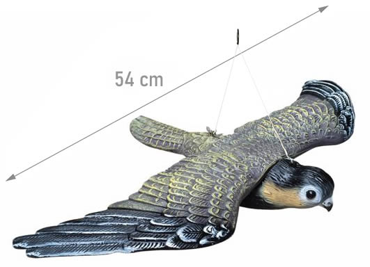 Spaventapasseri falco