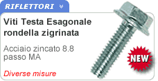 Viti flangiate testa esagonale