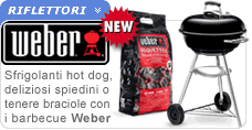 Barbecue Weber